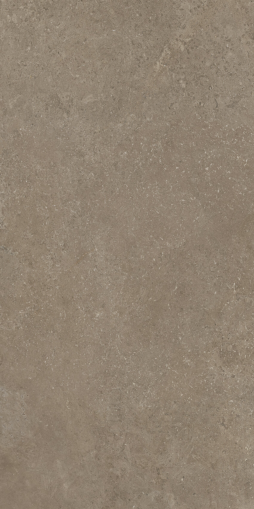 CROATIA TORTORA 9 MM 60X120
