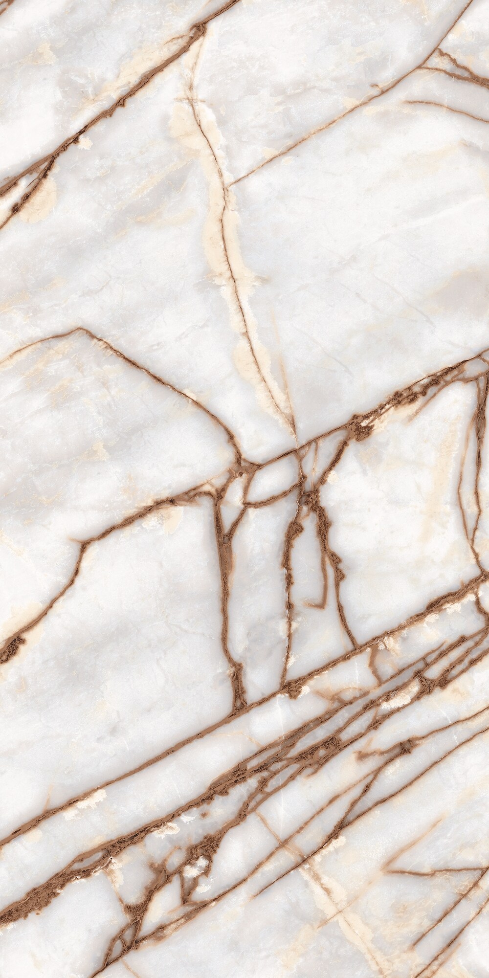 Vloertegel BIANCO IMPERIALE 60x120