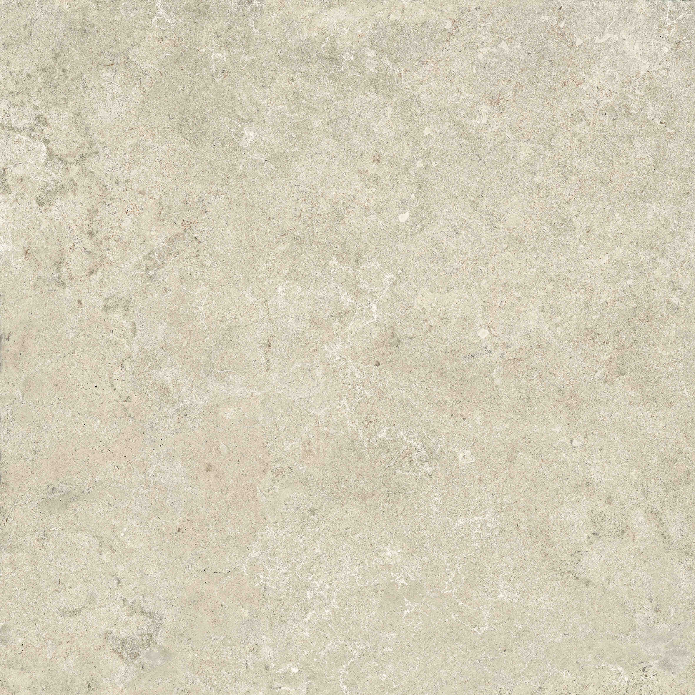 Bodenfliese DIMORE posidonia 60x60