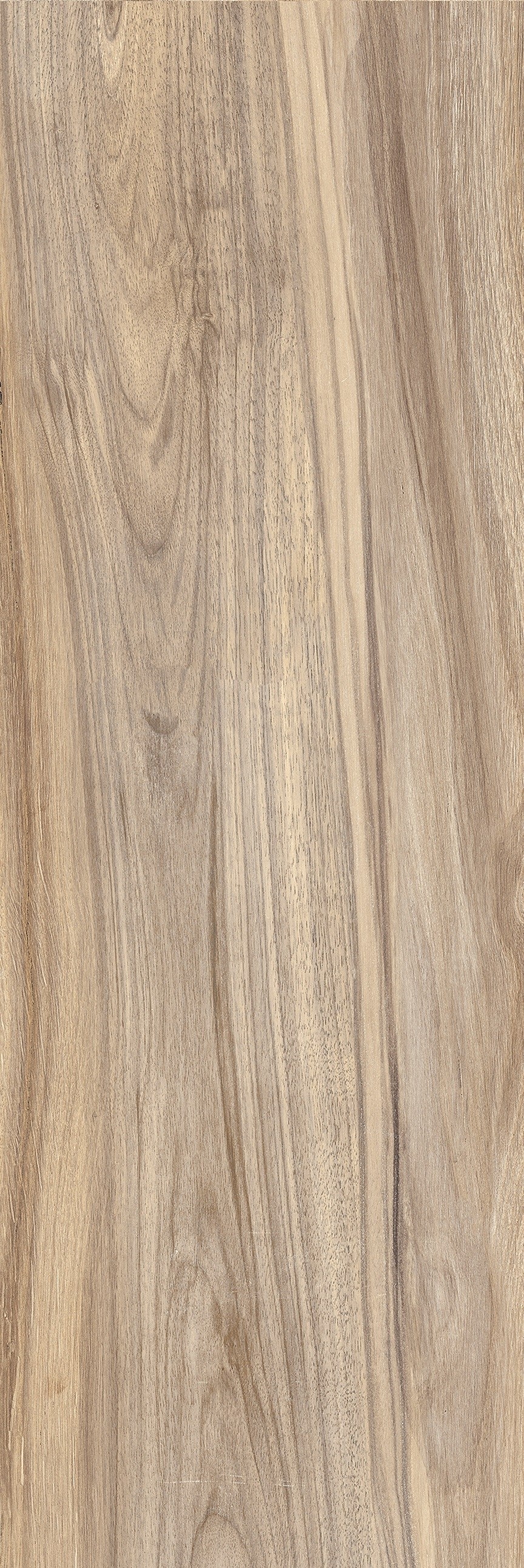 Bodenfliese WOODLAND Elm 20x80
