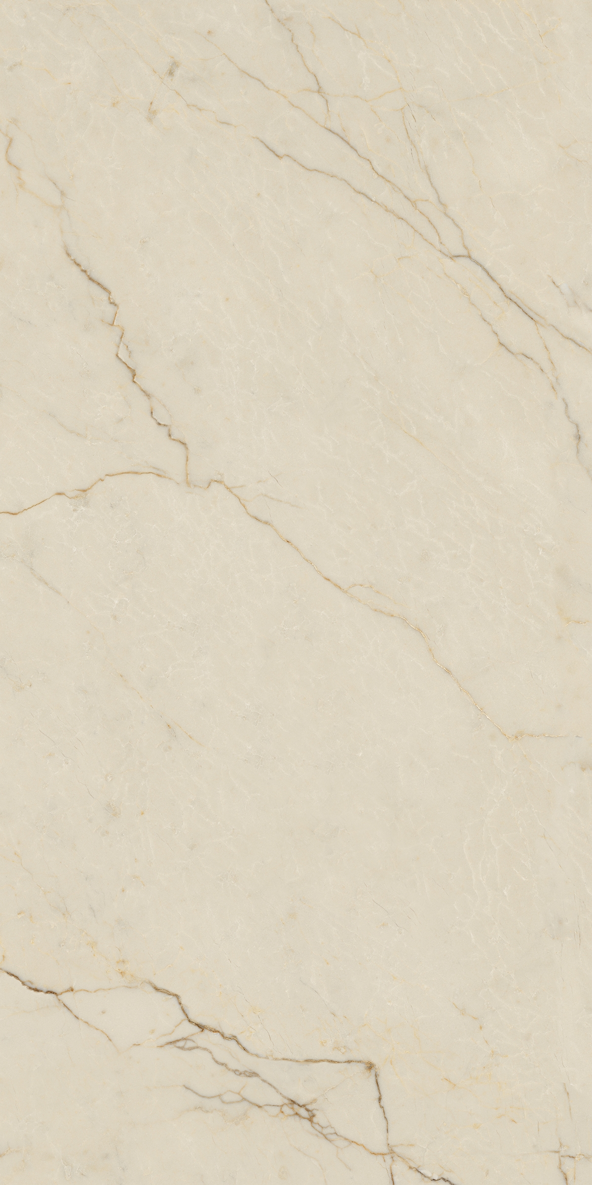 Bodenfliese AVORIO SEGESTA 60x120 (Lap)