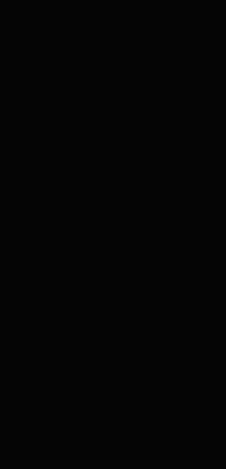 Wandfliese ABSOLUTE black 120x280 (pol)