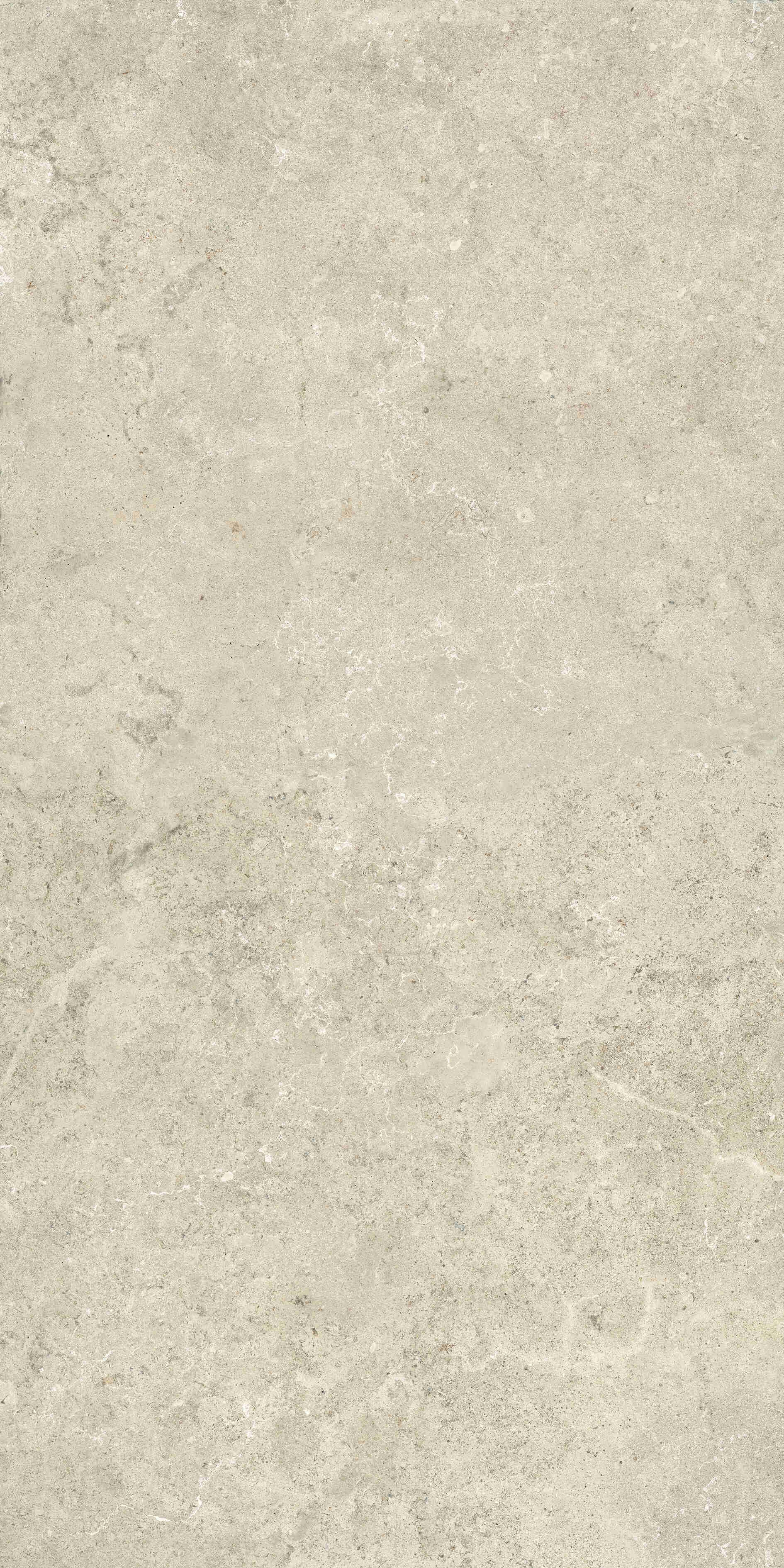 Bodenfliese DIMORE posidonia 60x120