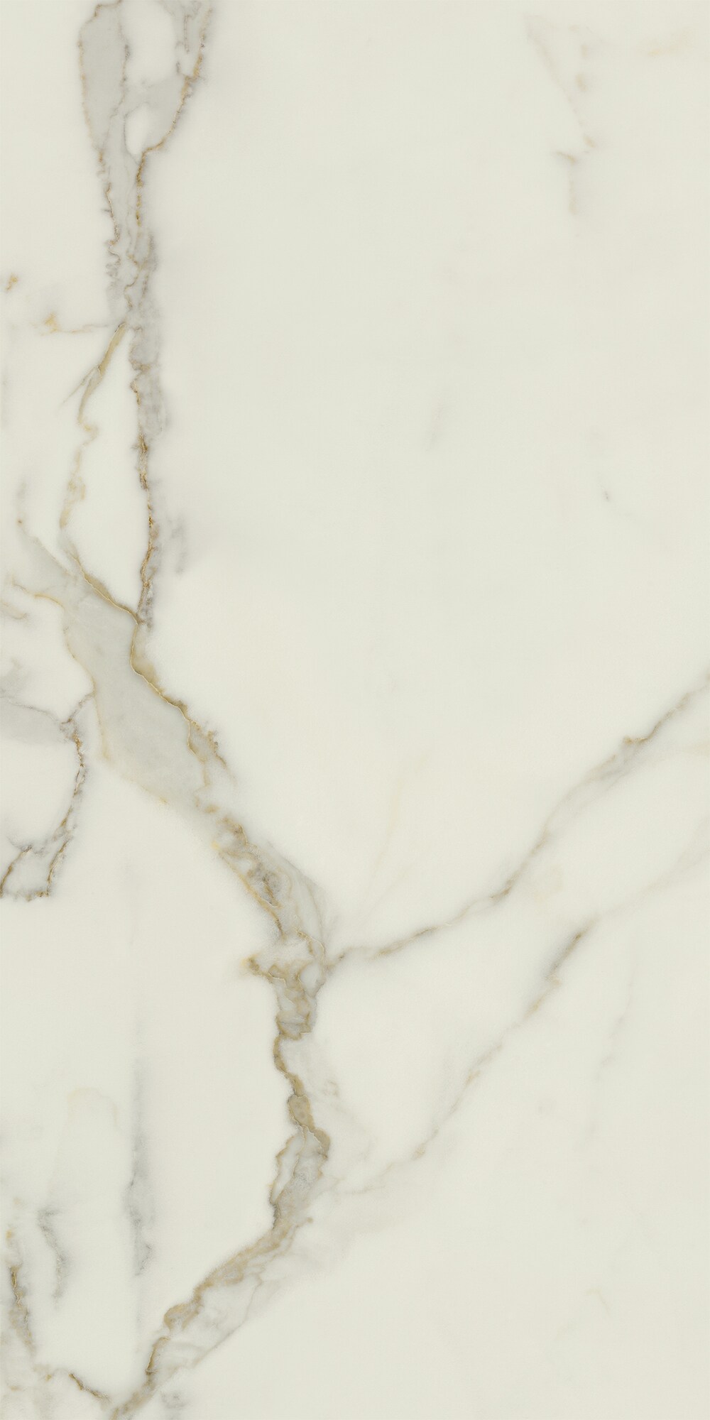 Vloertegel CALACATTA ORO 60x120