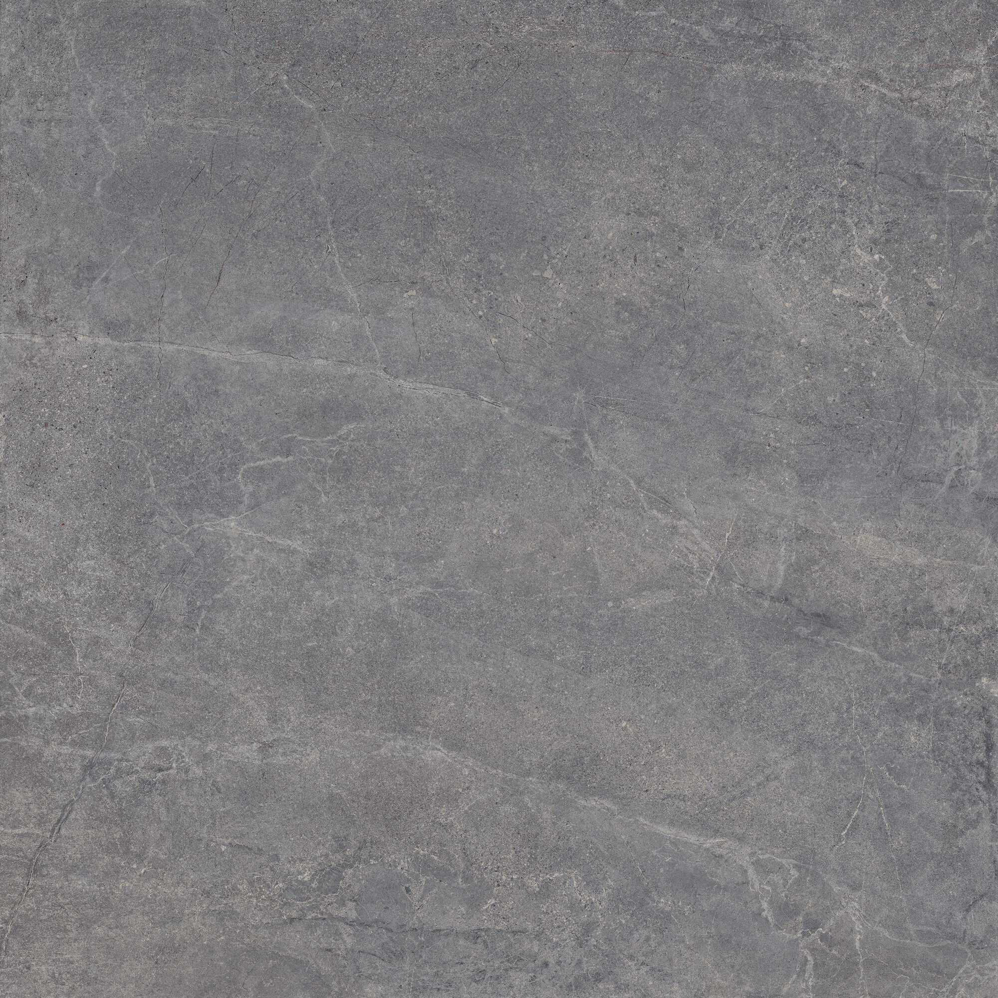 Vloertegel EVOLUTION titanium 100x100