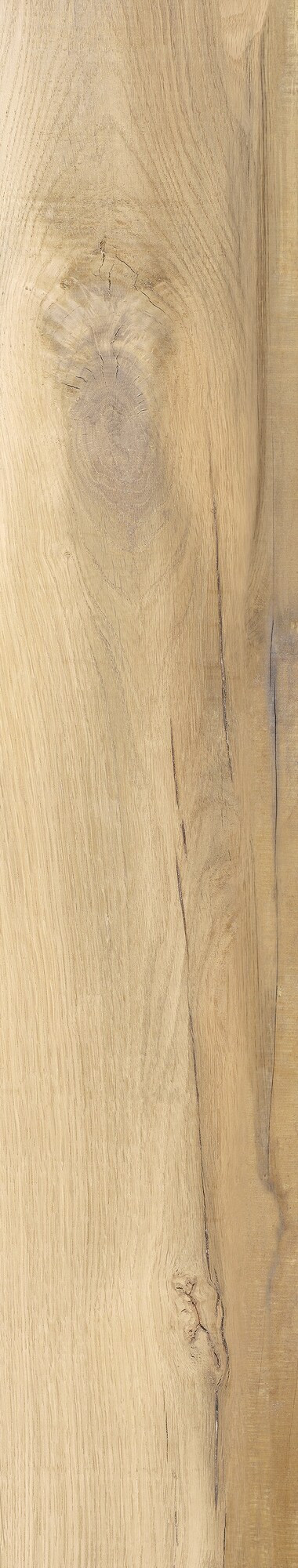 Vloertegel AEQUA Silva 20x120