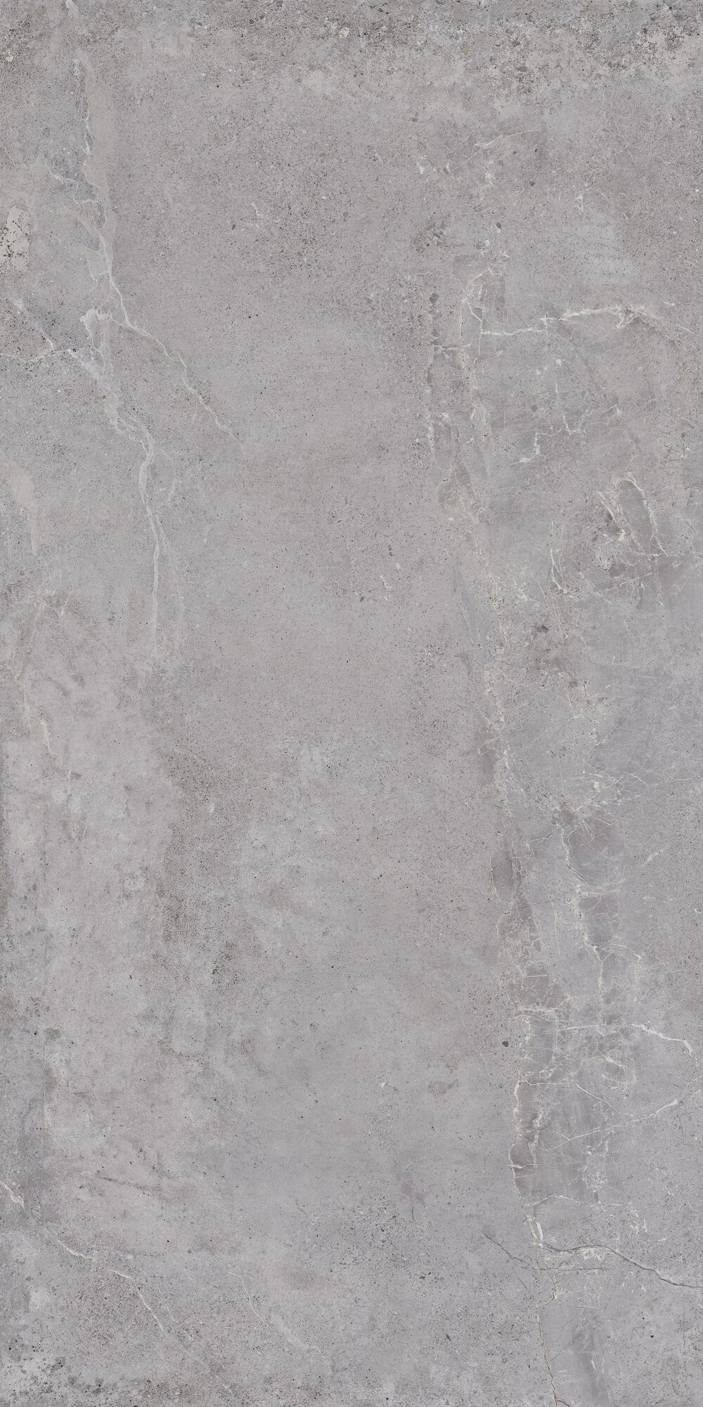 Outdoor-Fliese EVOLUTION grey 60x120