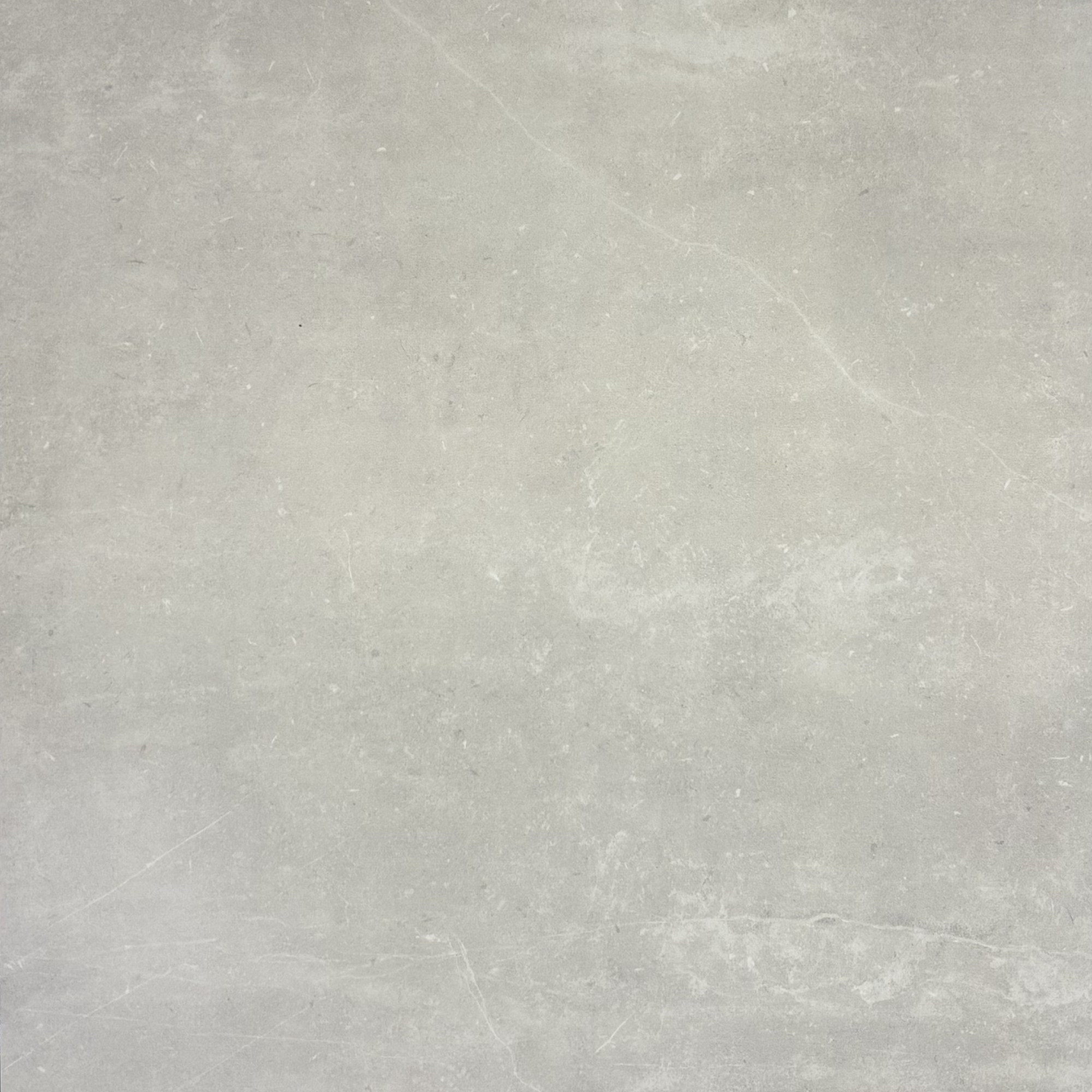 Vloertegel Pan white/grey 60 x 60