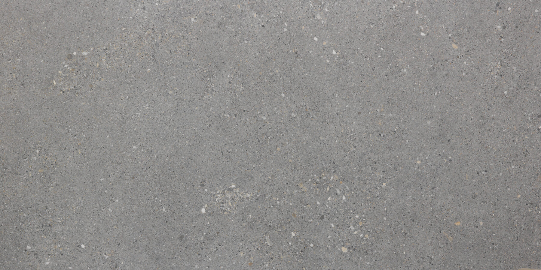 Vloertegel FRAMMENTI Tech grigio 60x120