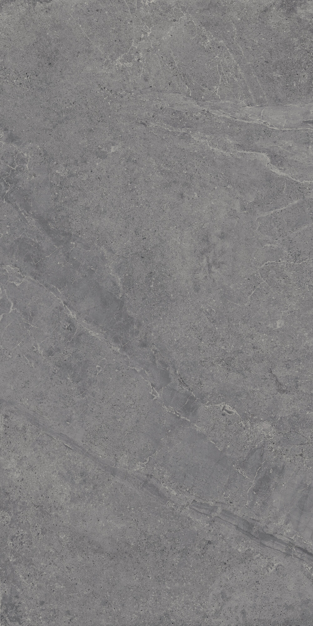 Bodenfliese EVOLUTION titanium 60x120