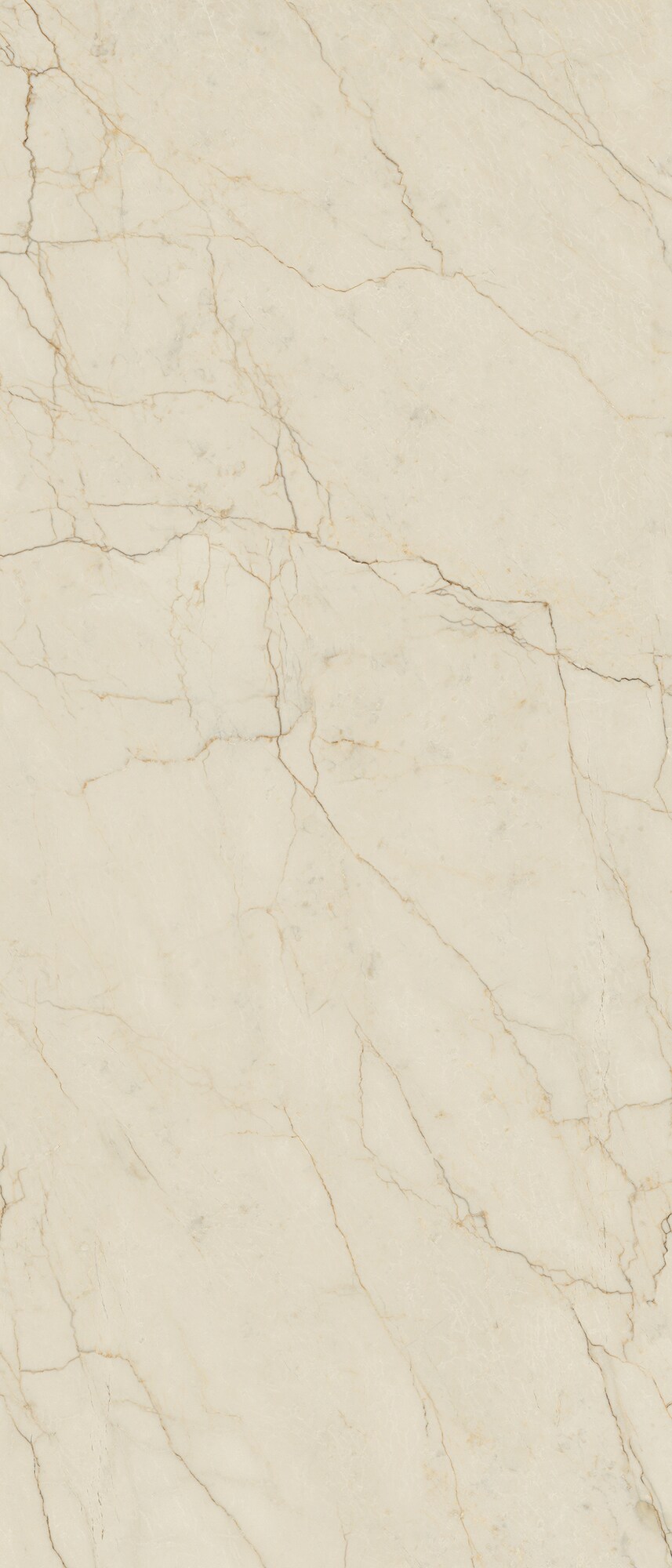 Wandtegel AVORIO SEGESTA 120x280 (lap)