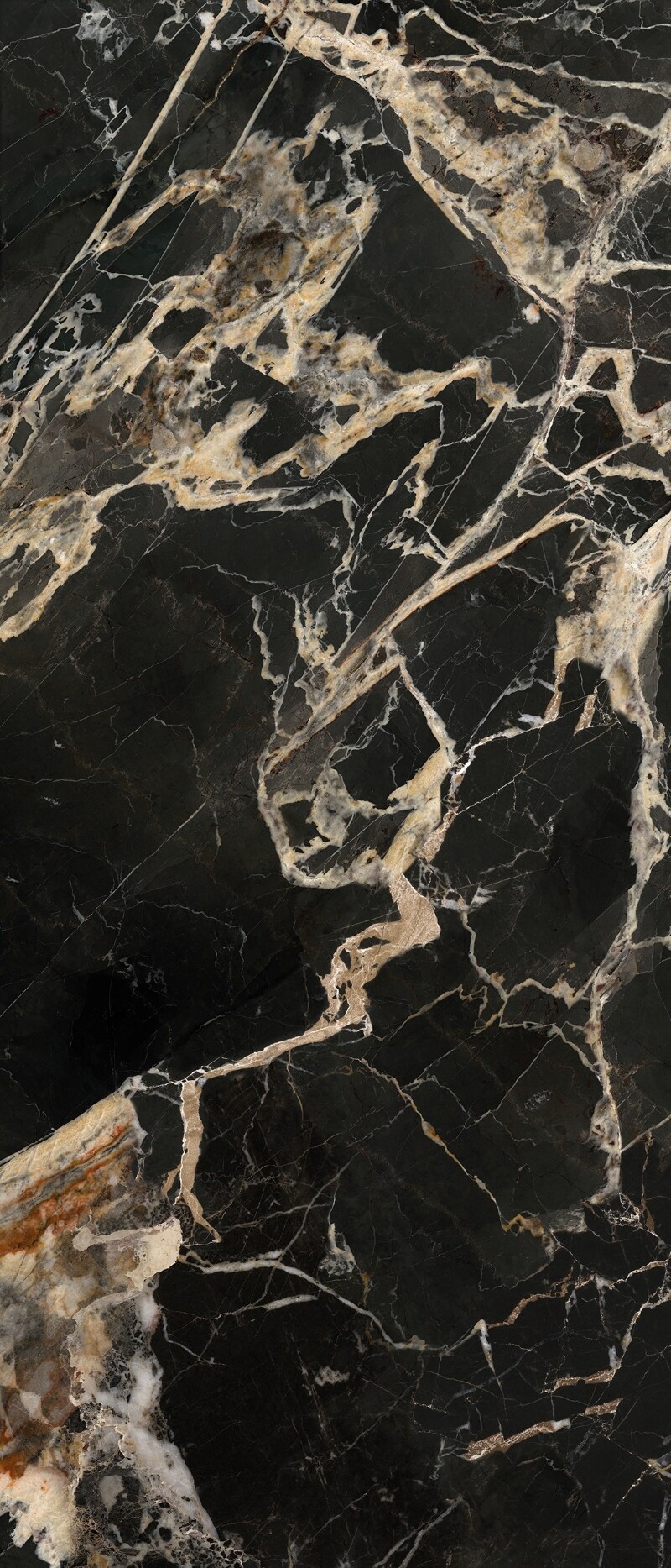 Wandtegel BLACK GOLD 120x280 (nat)