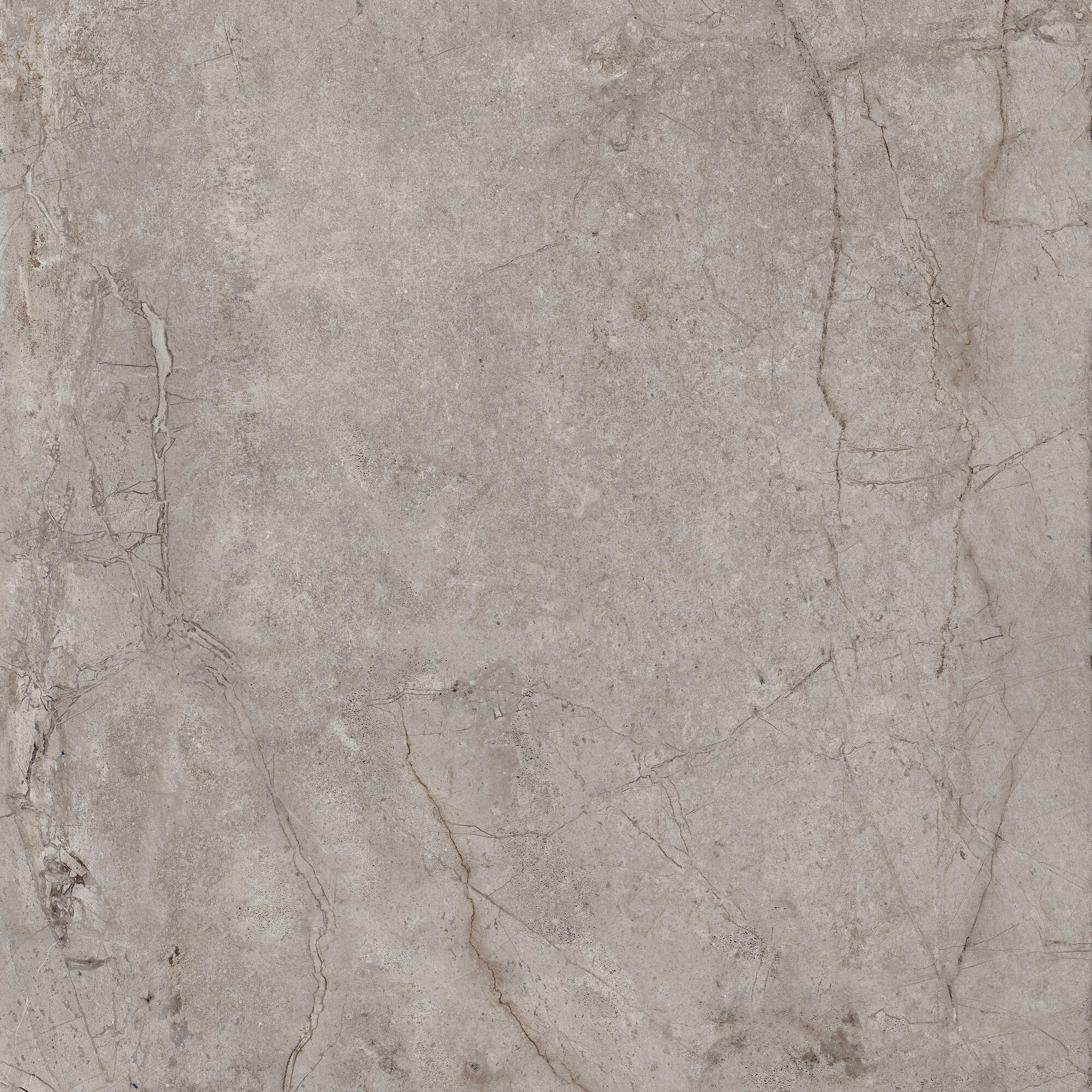 Vloertegel EVOLUTION sugar 60x60
