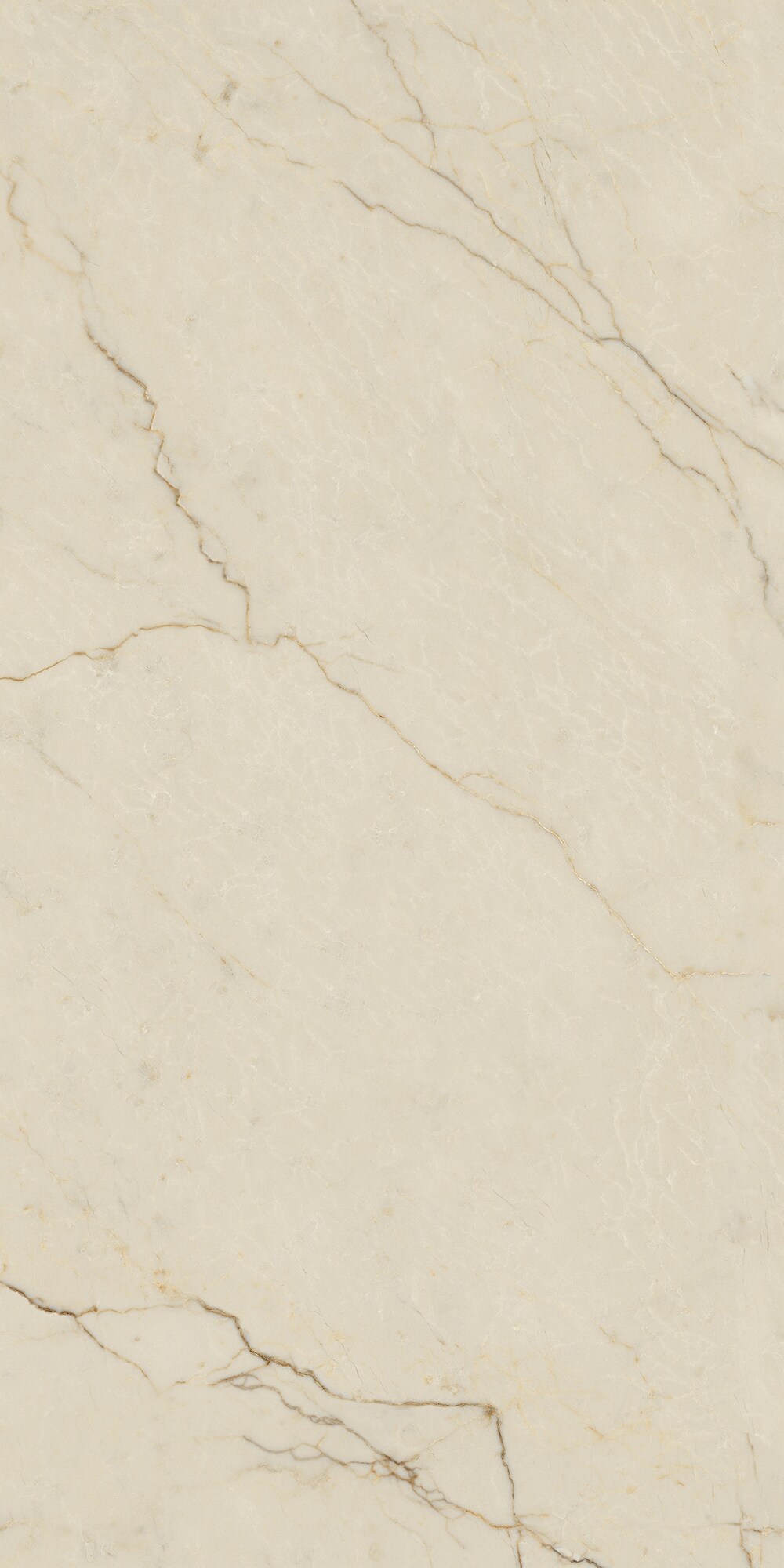 Vloertegel AVORIO SEGESTA 60x120 (Lap)