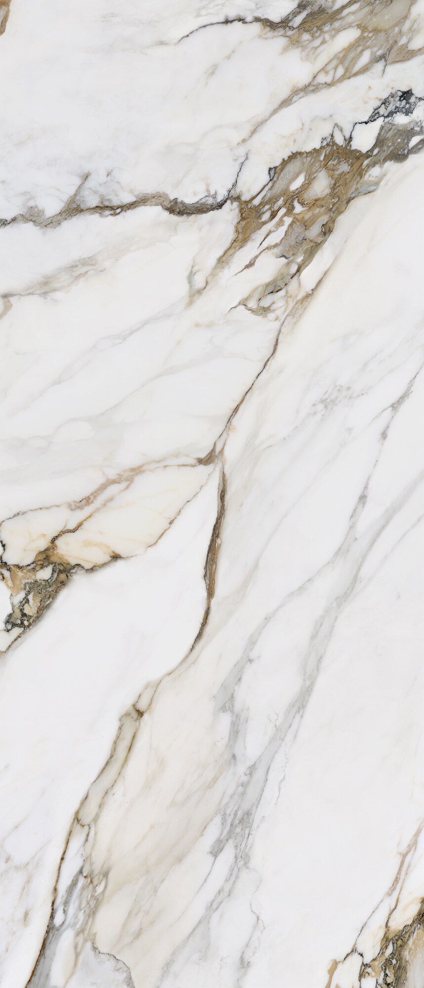 Wandtegel MACCHIA ANTICA 120x280 (lap)