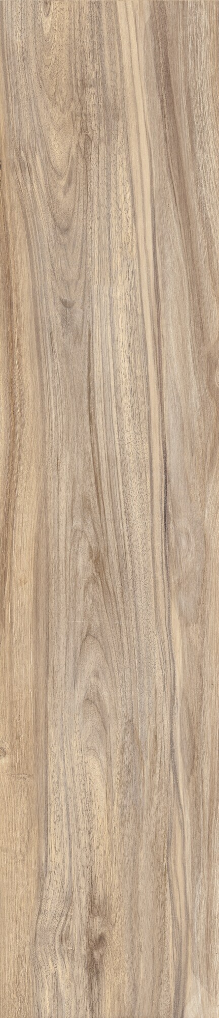 Bodenfliese WOODLAND Elm 20x120
