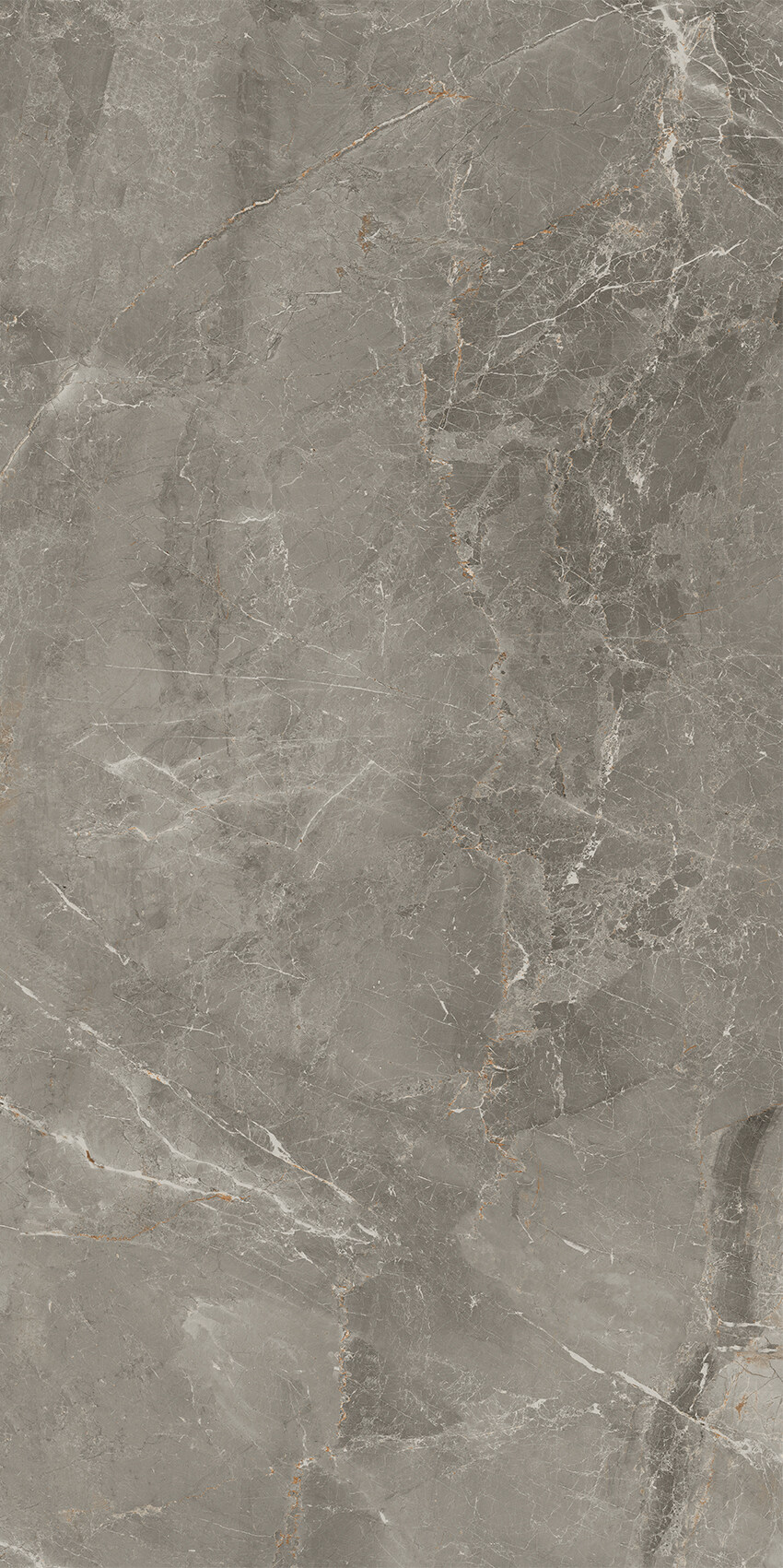 Vloertegel SYBIL levi silver 60x120