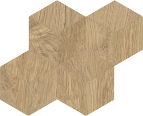 sequoia